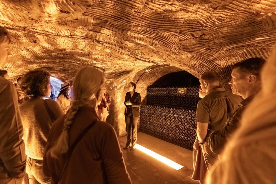 From Paris: Day Trip to Champagne with 8 Tastings & Lunch - The vineyard-side tasting stop: learning terroir before lunch