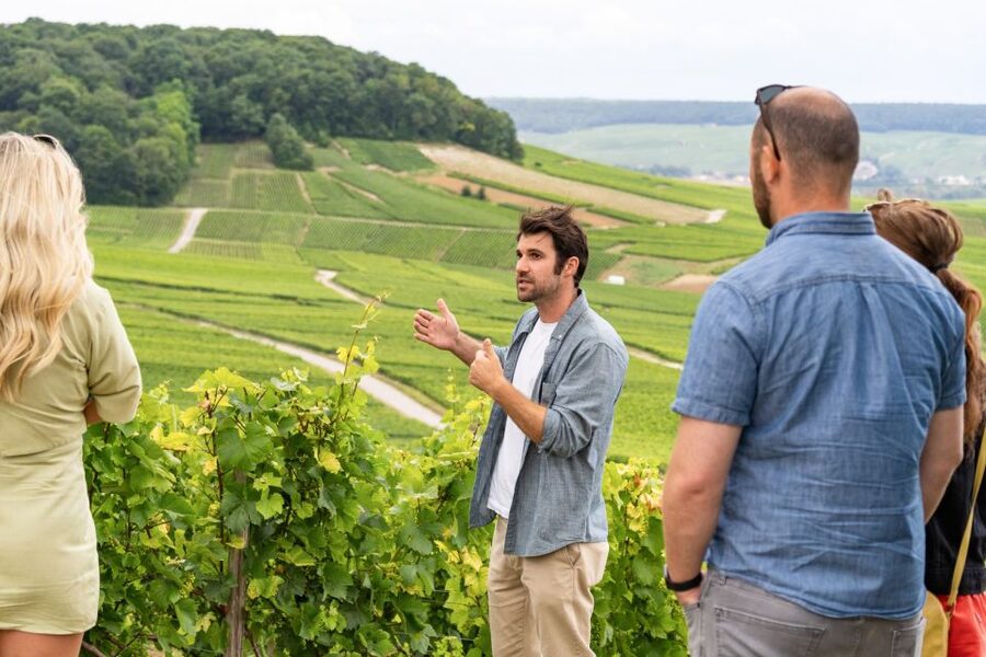 From Paris: Day Trip to Champagne with 8 Tastings & Lunch - Lunch paired with Champagne: where the food is part of the lesson