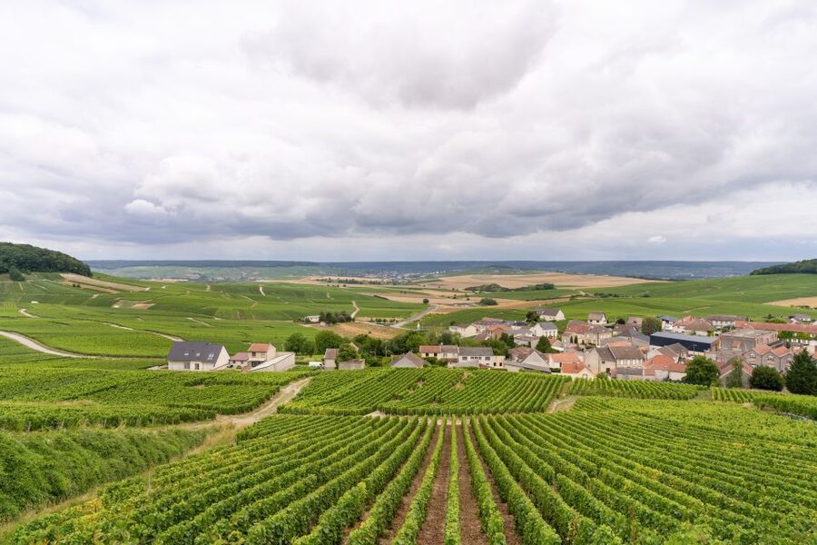 From Paris: Day Trip to Champagne with 8 Tastings & Lunch - Price and value: what you’re really paying for at $345