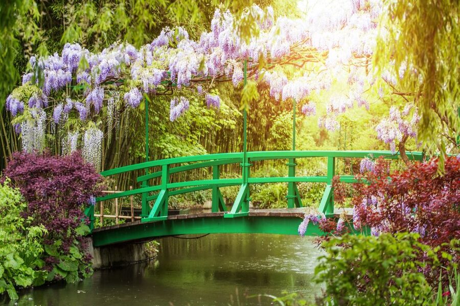 From Paris: Giverny and Versailles Palace Guided Day Trip - Giverny free time: lunch strategy and how not to feel rushed