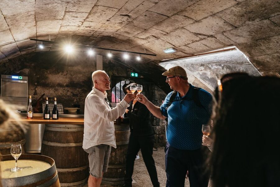 From Paris: Loire Valley Castles Day Trip With Wine Tasting - Should you book this Loire Valley castles day trip from Paris?