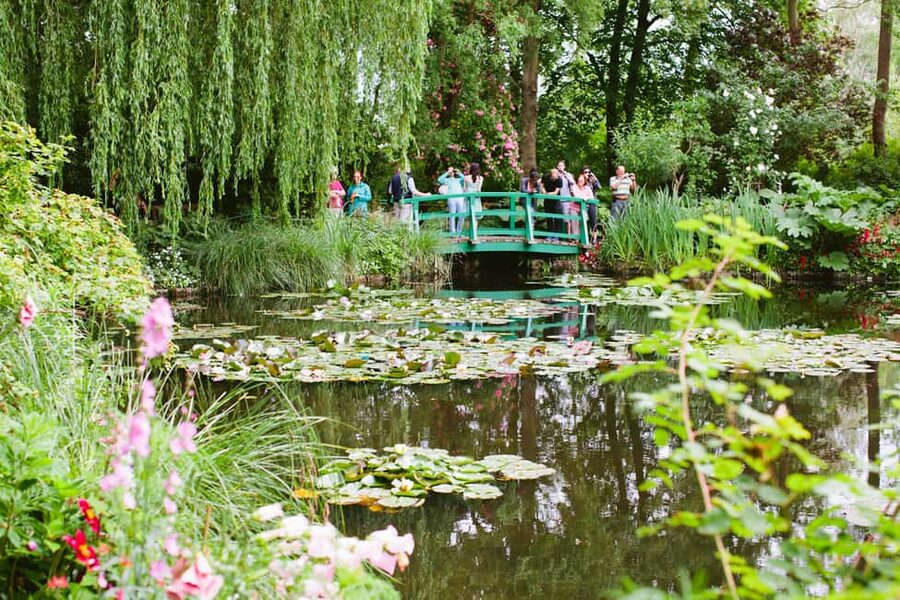 From Paris: Monet Garden & Giverny Bike Tour and Picnic Stop - Normandy coach time: wheat fields, sunflowers, and Seine views