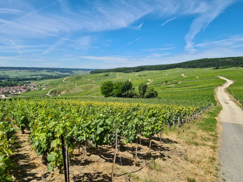 From Paris: Prestige Champagne Tour and Tastings - Price and logistics: is $1,584 per group worth it?