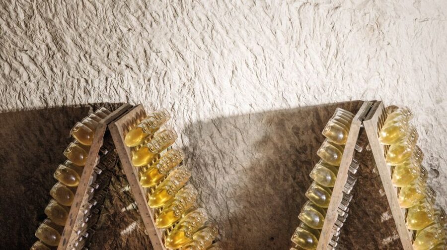 From Paris: Prestige Champagne Tour and Tastings - The grapes lesson you’ll actually use while tasting