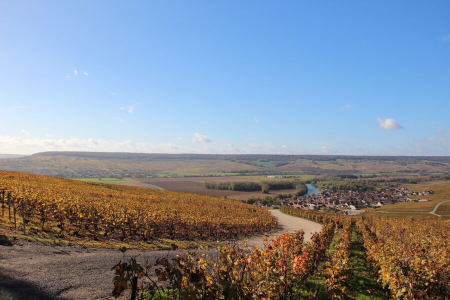 From Paris: Prestige Champagne Tour and Tastings - Lunch at a Michelin-star château: setting, pacing, and one possible letdown