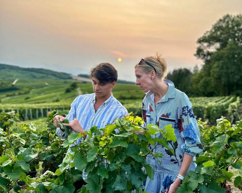 From Paris: Prestige Champagne Tour and Tastings - Driving the Champagne countryside: the view is real, but timing matters