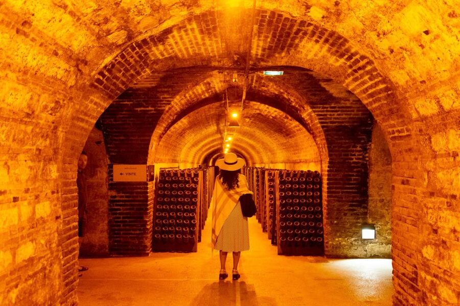 From Paris: Prestige Champagne Tour and Tastings - The boutique Champagne producer: smaller scale, different kind of insight