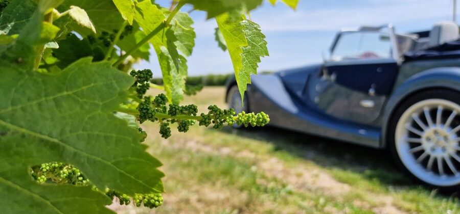 From Paris: Prestige Champagne Tour and Tastings - What to bring and how to stay comfortable
