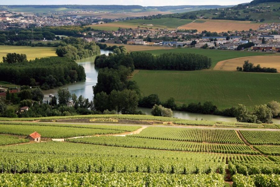From Paris: Private Champagne Tour, Tastings at Moet&Chandon - Lunch in Hautvillers: Keep It Simple and Time-Friendly