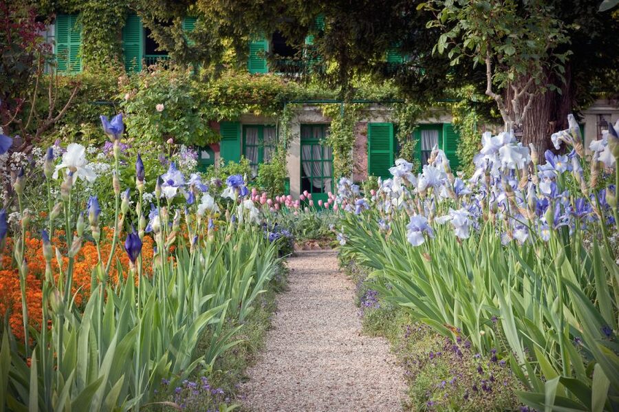 From Paris: Private Trip to Giverny, Monet's House & Museum - Comfort and logistics: minivan seating and pacing your photo time