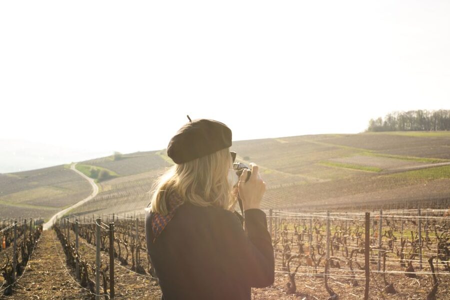 From Paris: Reims and Champagne Tasting Full-Day Tour - Logistics that can make or break your day