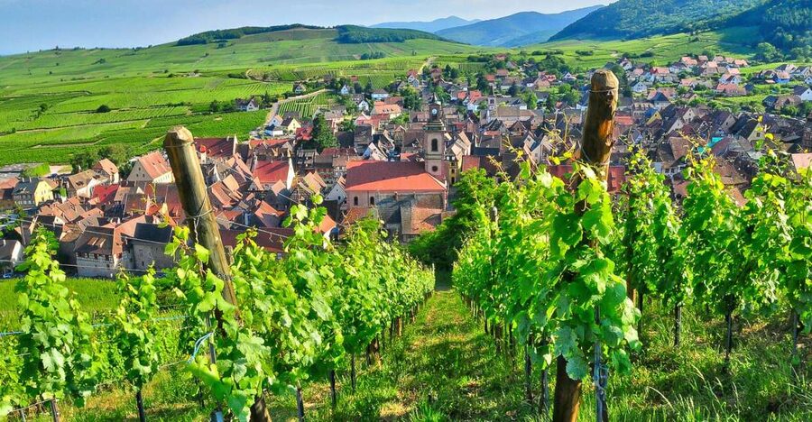 From Paris: Small-Group Champagne Day Trip with Six Tastings - Quick hits before you go