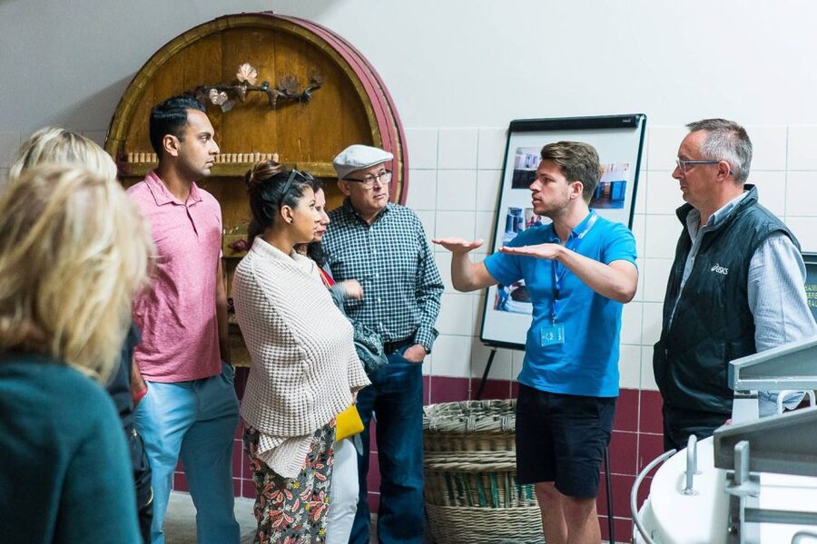 From Paris: Small-Group Champagne Day Trip with Six Tastings - The family-run winery stop: where the grape-growing lessons become real
