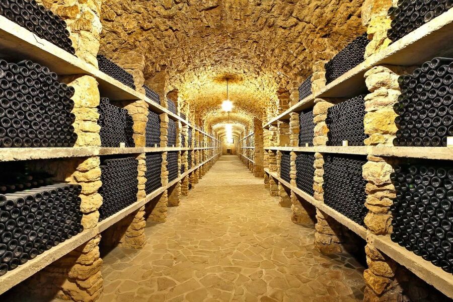 From Paris: Small-Group Champagne Day Trip with Six Tastings - Nicolas Feuillatte Champagne House: the big operation with real contrast
