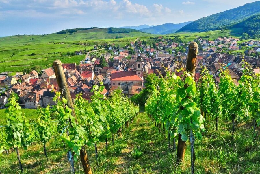 From Paris: Small-Group Champagne Day Trip with Six Tastings - Hautvillers Abbey at Dom Pérignon’s gravesite: the history stop that lands