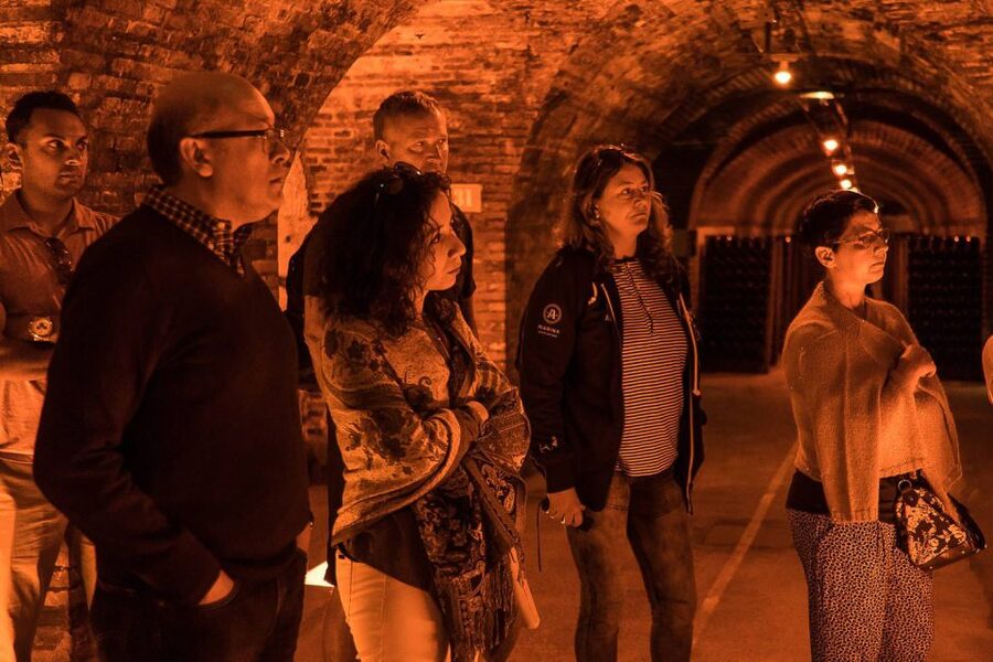 From Paris: Small-Group Champagne Day Trip with Six Tastings - Transportation, timing, and comfort: the real logistics you should plan for
