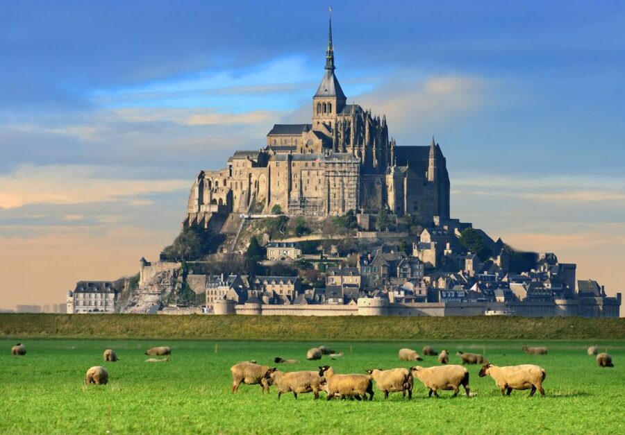 From Paris: Small-Group Mont St Michel Tour & Cider Tasting - Should you book the Mont Saint-Michel and cider day trip from Paris?