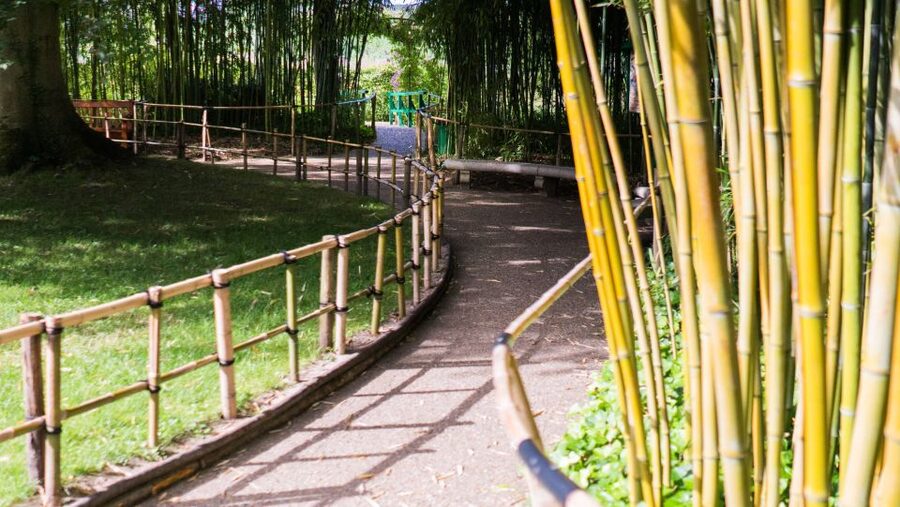 From Paris: Versailles and Giverny Full-Day Trip - Palace of Versailles skip-the-line: where your day can win or stall