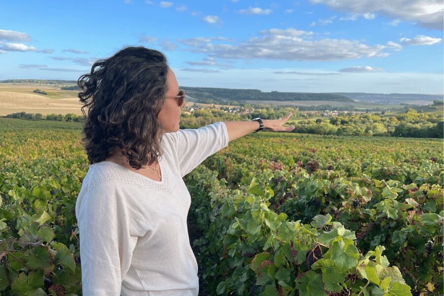 From Paris: Wine Day trip to SANCERRE w 10 Tastings & Lunch - Key points before you go