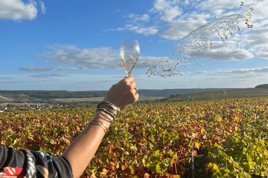 From Paris: Wine Day trip to SANCERRE w 10 Tastings & Lunch - Who this Sancerre tour is best for