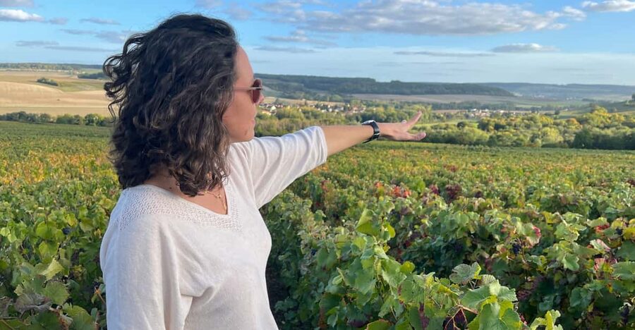 From Paris: Wine Day trip to SANCERRE w 10 Tastings & Lunch - A small-group Sancerre day trip from Paris that actually feels Loire