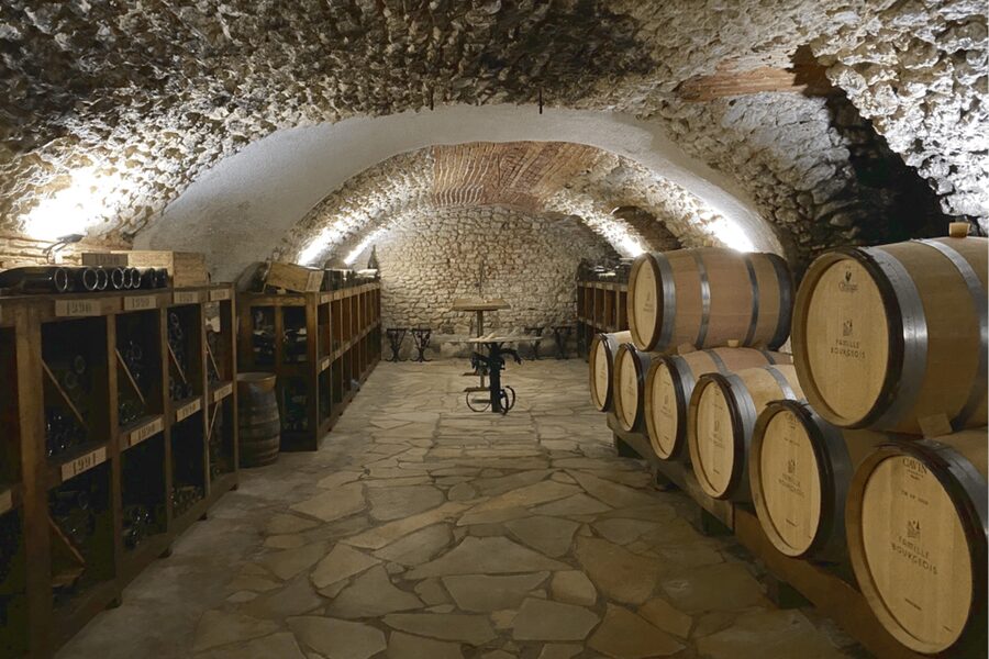 From Paris: Wine Day trip to SANCERRE w 10 Tastings & Lunch - Winery stop #1: family cellar time, lunch, and Crottin de Chavignol