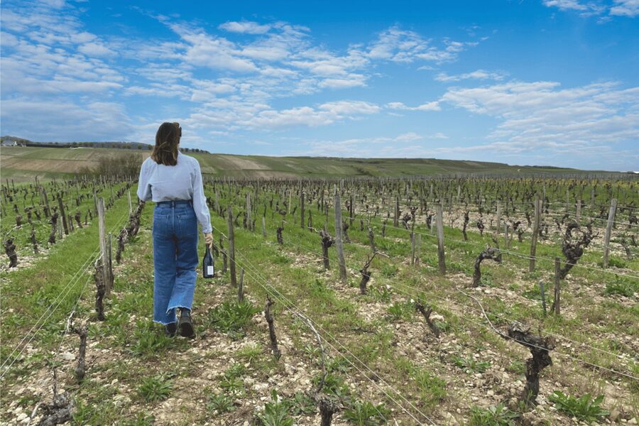 From Paris: Wine Day trip to SANCERRE w 10 Tastings & Lunch - Vineyard-side tasting in the vines: what the seasonal stop really adds