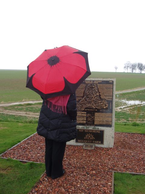 From Paris: WWI Somme Battlefields Full-Day Tour - Delville Wood, Pozières, and Mouquet Farm: the battlefield told by specific ground