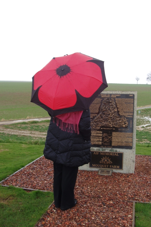 From Paris: WWI Somme Battlefields Full-Day Tour - Historial Museum in Péronne: using artifacts to connect causes and consequences