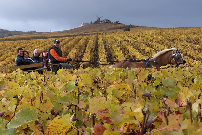 Full Day All-inclusive Tour in Champagne from Paris in a Minivan - Key things I’d circle before you go
