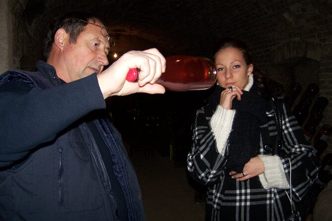 Full Day All-inclusive Tour in Champagne from Paris in a Minivan - Who this tour fits best (and who should think twice)