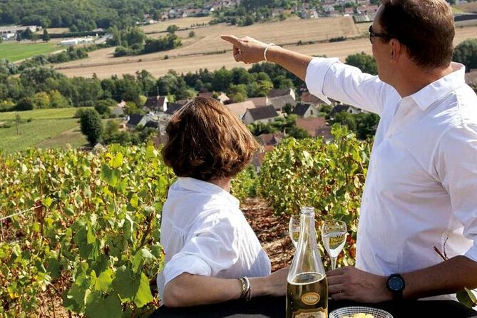 Full-Day Private Champagne Tasting in Reims and its Vineyards - Quick hits before you go