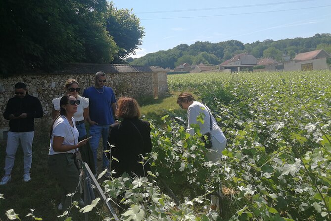 Full-Day Private Champagne Tasting in Reims and its Vineyards - Lunch in Bezannes: traditional French food, but it’s in a golf club