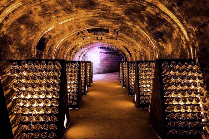 Full-Day Private Champagne Tasting in Reims and its Vineyards - Six tastings total: how to pace the day like a pro
