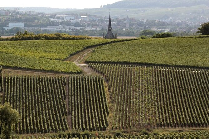 Full-Day Private Champagne Tasting in Reims and its Vineyards - The real value: what $718.55 buys you (and what it can’t)