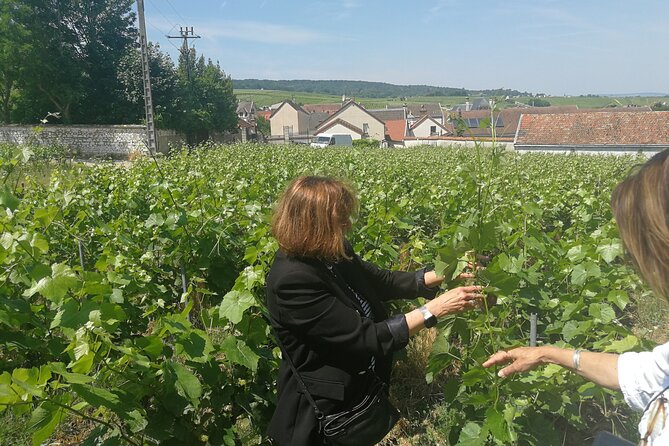 Full-Day Private Champagne Tasting in Reims and its Vineyards - Who this private Champagne day suits best