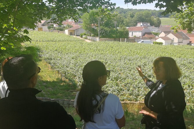 Full-Day Private Champagne Tasting in Reims and its Vineyards - Reims landmarks: coronation vibes plus quick city orientation