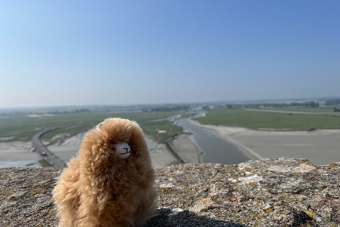 Full-day Private Tour in Mont Saint Michel with Calvados Tasting - Timing and Real-Life Limits: What to Expect From the Schedule