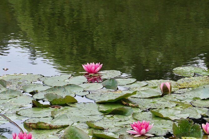 Giverny Half-Day Small-Group Tour from Paris – Max 7 Guests - Who should book this Monet-and-Giverny half-day?