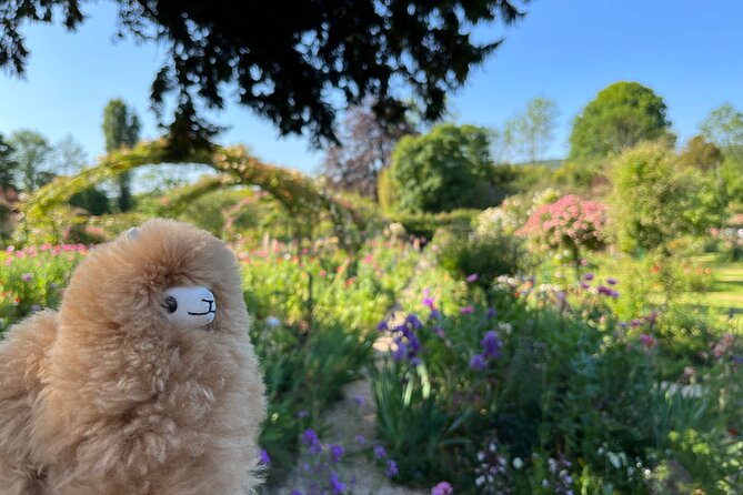 Giverny & Versailles Private Guided Tour with Ticket Entry - Key highlights worth caring about