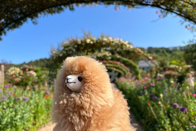 Giverny & Versailles Private Guided Tour with Ticket Entry - Hotel pickup at 8:00 and the drive to Giverny