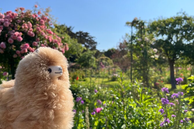 Giverny & Versailles Private Guided Tour with Ticket Entry - Versailles gardens and fountains: how to use the 14:00–14:30 block