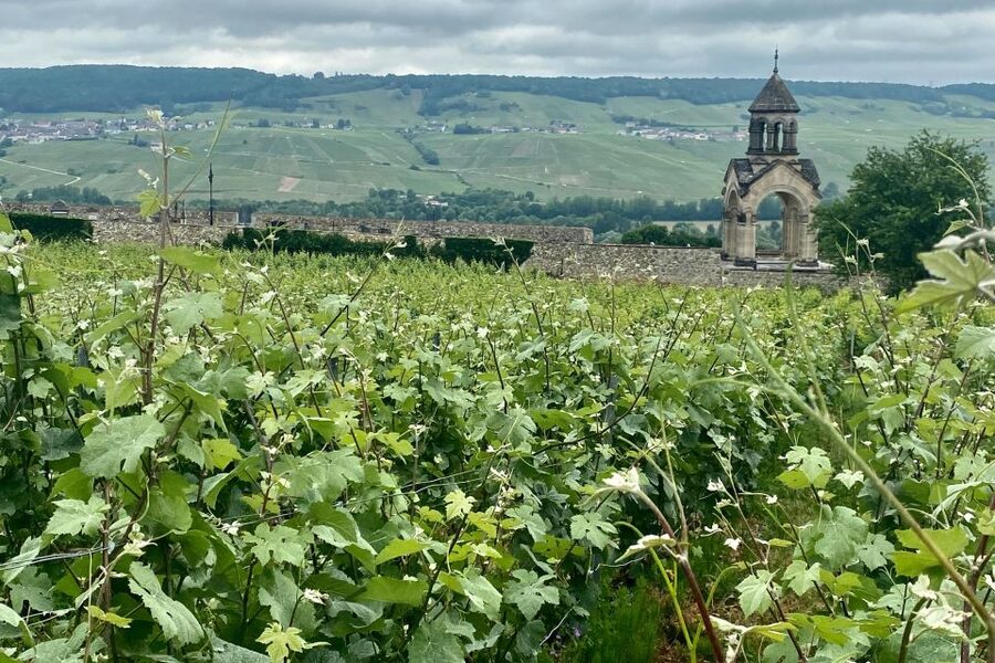 Grand Vintage Private Champagne Moet Chandon Veuve Clicquot - Hautvillers Viewpoint and Saint-Pierre d’Hautvillers: The Dom Pérignon Stop
