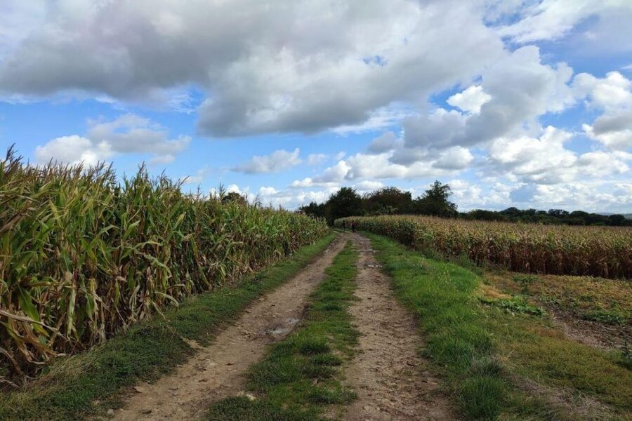 Hiking Adventure in Van Gogh's footsteps (6 miles walk) - Why this Van Gogh hike feels like a real day out of Paris