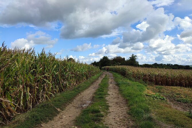 Hiking Adventure in Van Gogh's Footsteps with 6 miles walk - Small-group guide Victor: why the storytelling lands