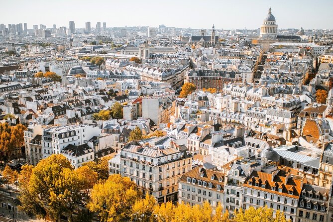 Historic Heart of Paris: Île de la Cité Walking Tour - Price and pace: does $56.17 feel fair?