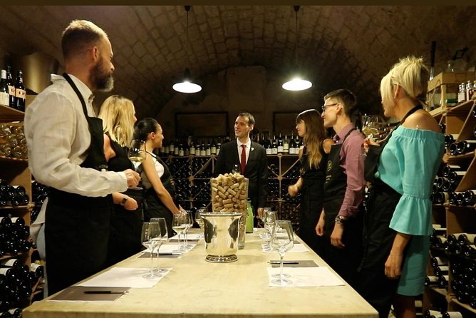 Incredible Loire castles tour with lunch and a vineyard visit - Loire Valley hotel pickup: how this day trip actually feels