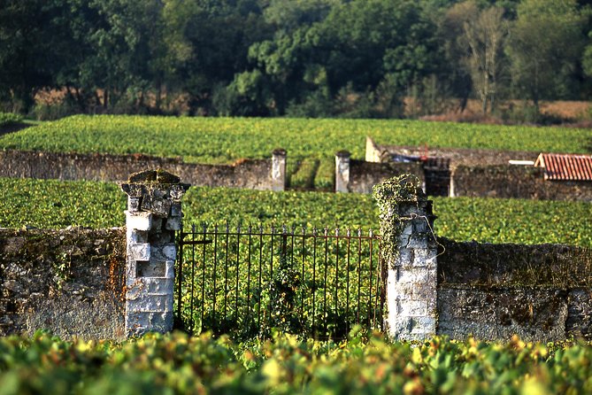 Incredible Loire castles tour with lunch and a vineyard visit - Winery visit: what you get from the tasting (and what to expect)