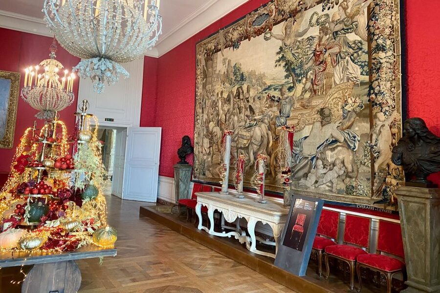 Live Guided Chenonceau, Chambord, Amboise Castles from Paris - Amboise for lunch and Château d’Amboise with Histopad
