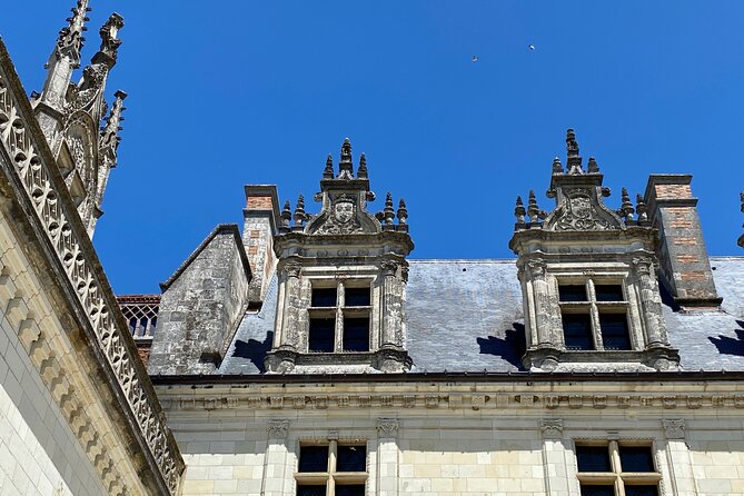 Live Guided Chenonceau, Chambord, Amboise Castles trip from Paris - Key things you should know before you go